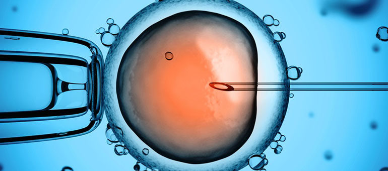 Poznań: ruszył miejski program in vitro, zainteresowanie jest ogromne